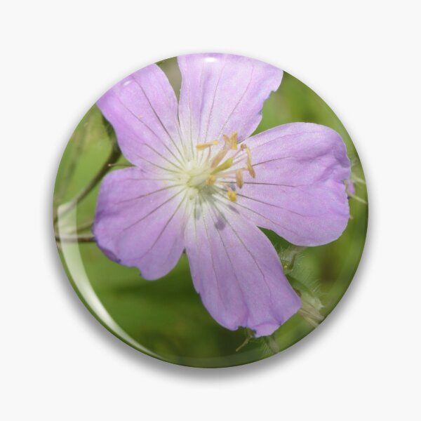 Item preview, Wild Geranium (Geranium maculatum)  designed and sold by Pauline Catling.