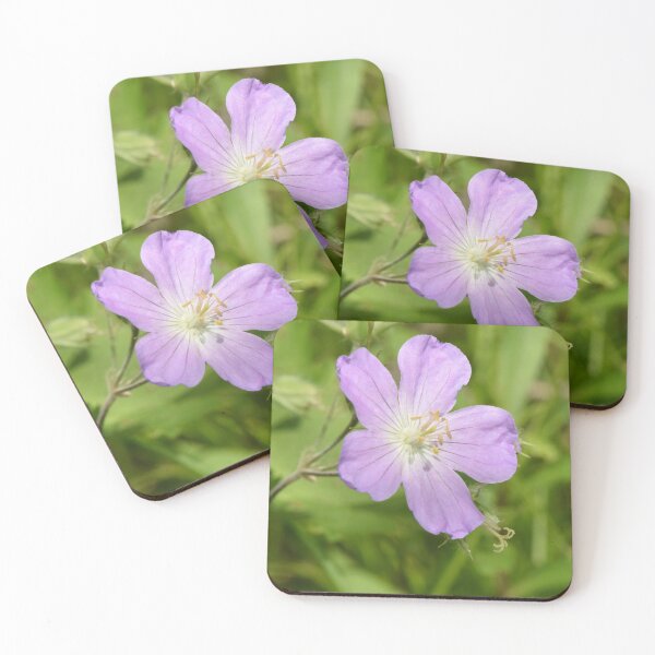 Item preview, Wild Geranium (Geranium maculatum)  designed and sold by Pauline Catling.