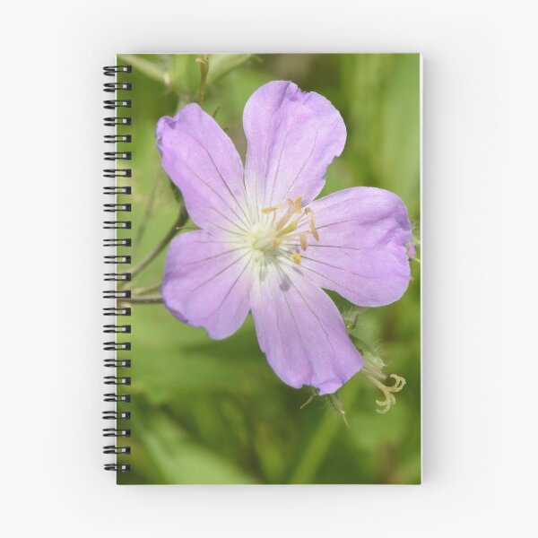 Item preview, Wild Geranium (Geranium maculatum)  designed and sold by Pauline Catling.