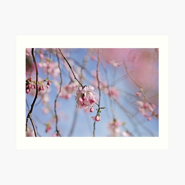 Untitled Art Print