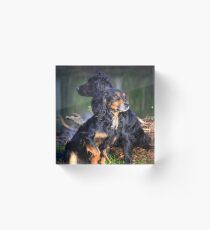 Did you see which way the Boss went? Acrylic Block