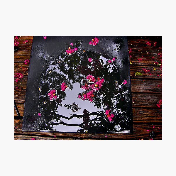 Item preview, Fallen Blossoms, Half-Eaten Dumpling designed and sold by Charles Ober.