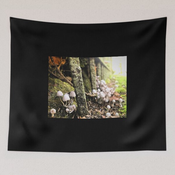 Item preview, Emerging In The Mists Of Morning designed and sold by XXX Zombieboy XXX.