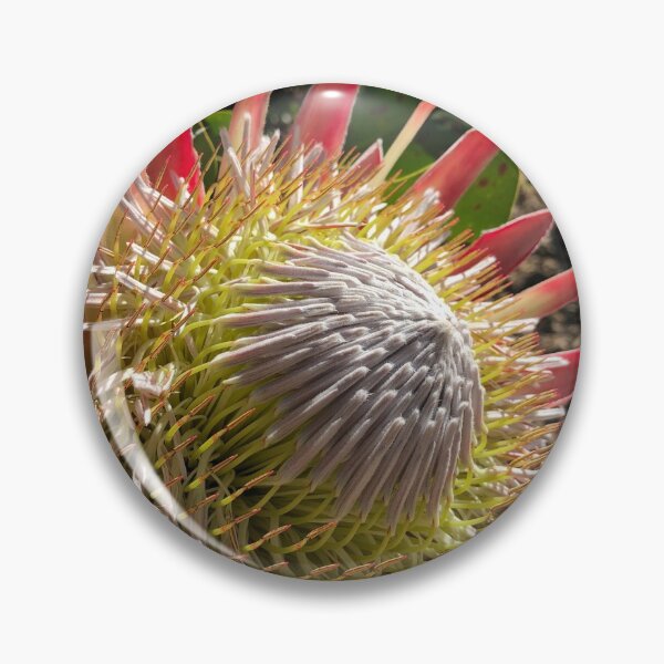 Item preview, Protea 4 designed and sold by Morgen Sellier.
