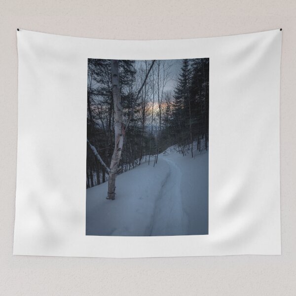 Item preview, Snowy Canadian Trail Through the Forest designed and sold by Ian Christopher.