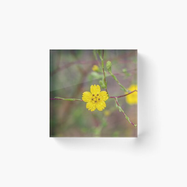 Item preview, Small Yellow Flower designed and sold by Ian Christopher.