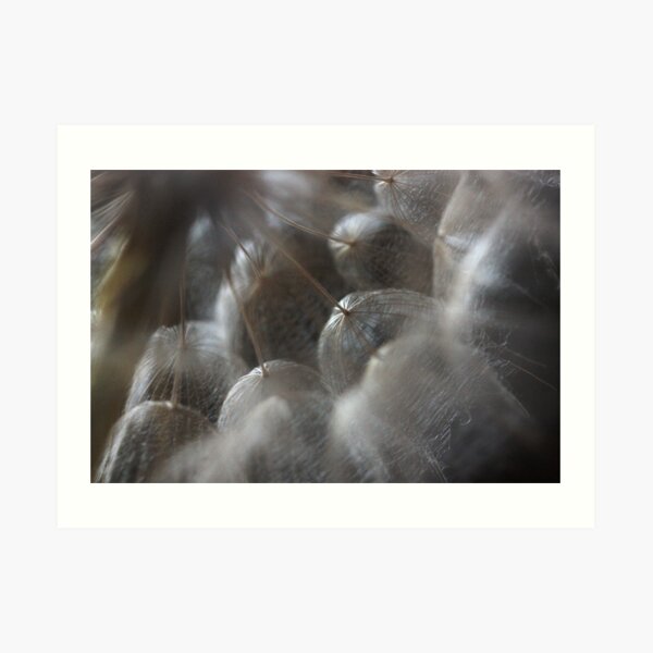 heart's perspective on fragile delimitations Art Print
