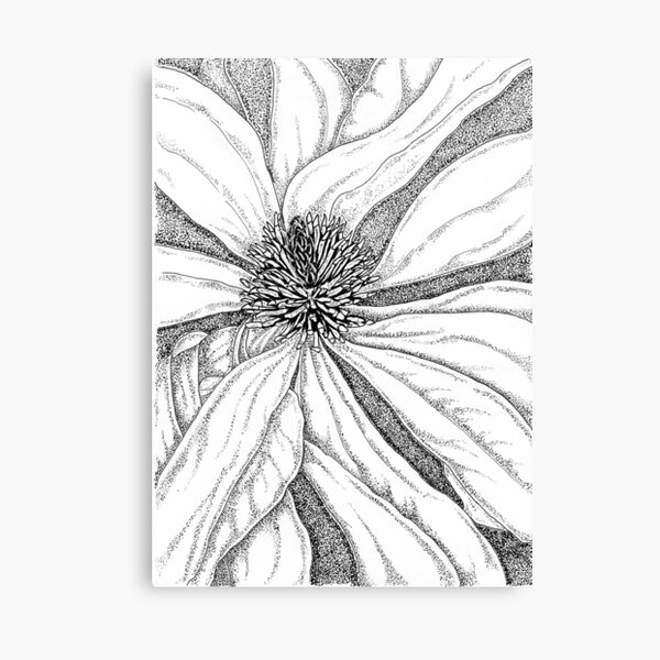 Michelia doltsopa Canvas Print