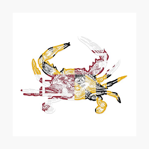 Maryland Flag Blue Crab Photographic Print