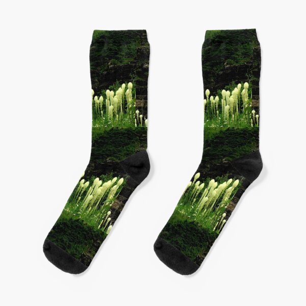 Beargrass and Waterfall in Glacier National Park, Montana Socks