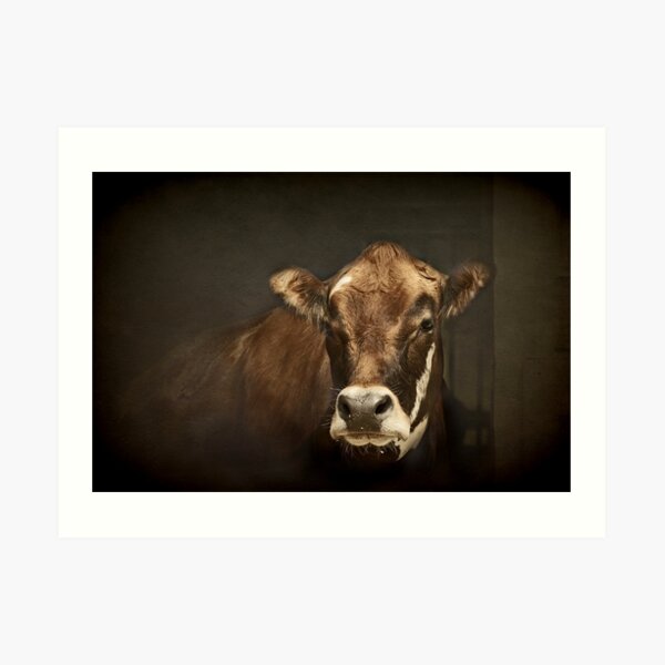 Hey Buddy Art Print