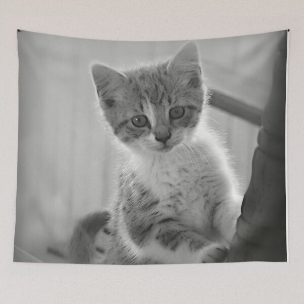 Item preview, Kitten in a Rocking Chair designed and sold by ReneeKennedy.