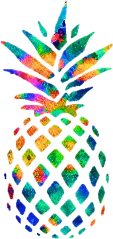 "Rainbow Pineapple" Stickers by erinaugusta  Redbubble