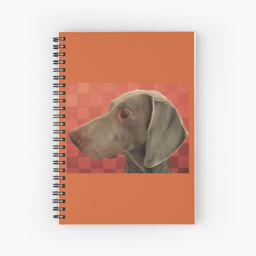 grey velvet weimaraner