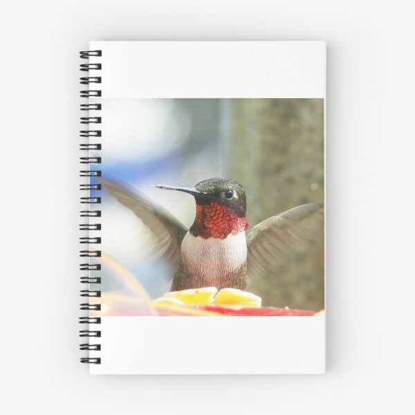 Item preview, Male Ruby-throated Hummingbird designed and sold by Debbie Center.