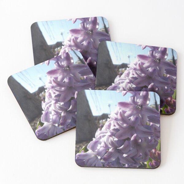 Item preview, Hyacinth designed and sold by This and That.
