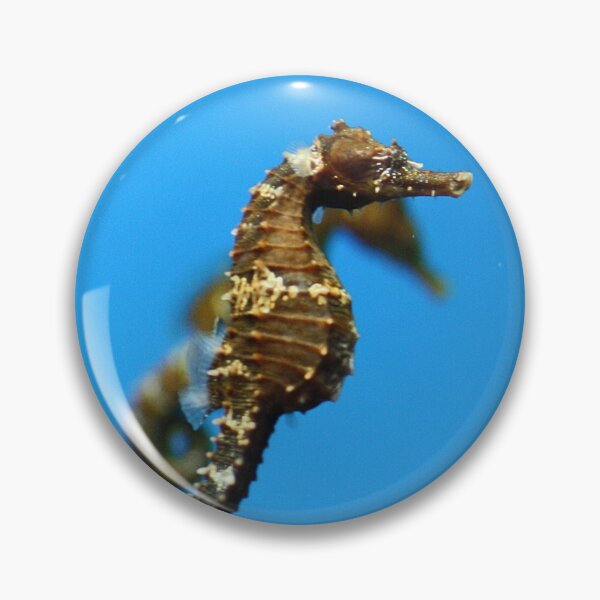 Item preview, Seahorse Among Us designed and sold by Shilohlin Pfeiffer.