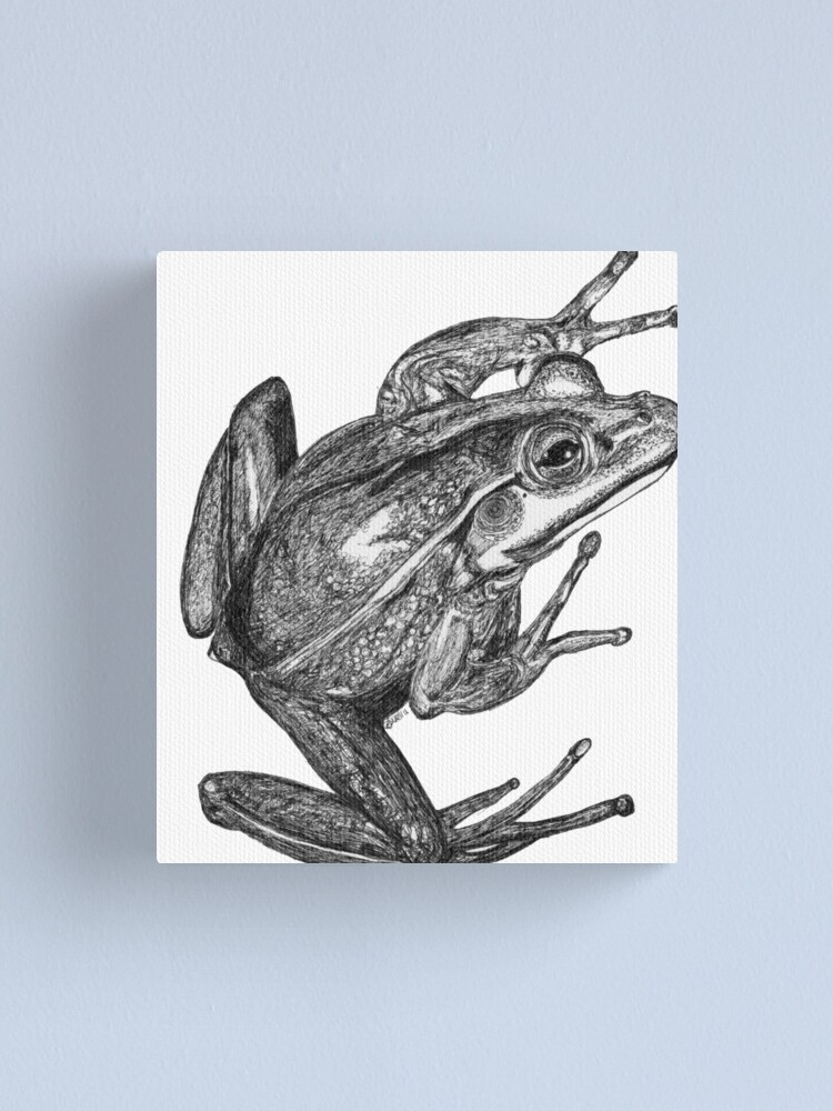 Alternate view of Vonny the Frog Canvas Print