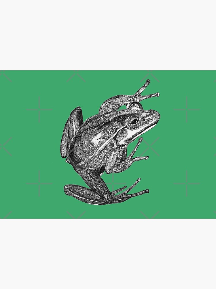 Vonny the Frog by Wildcard-Sue