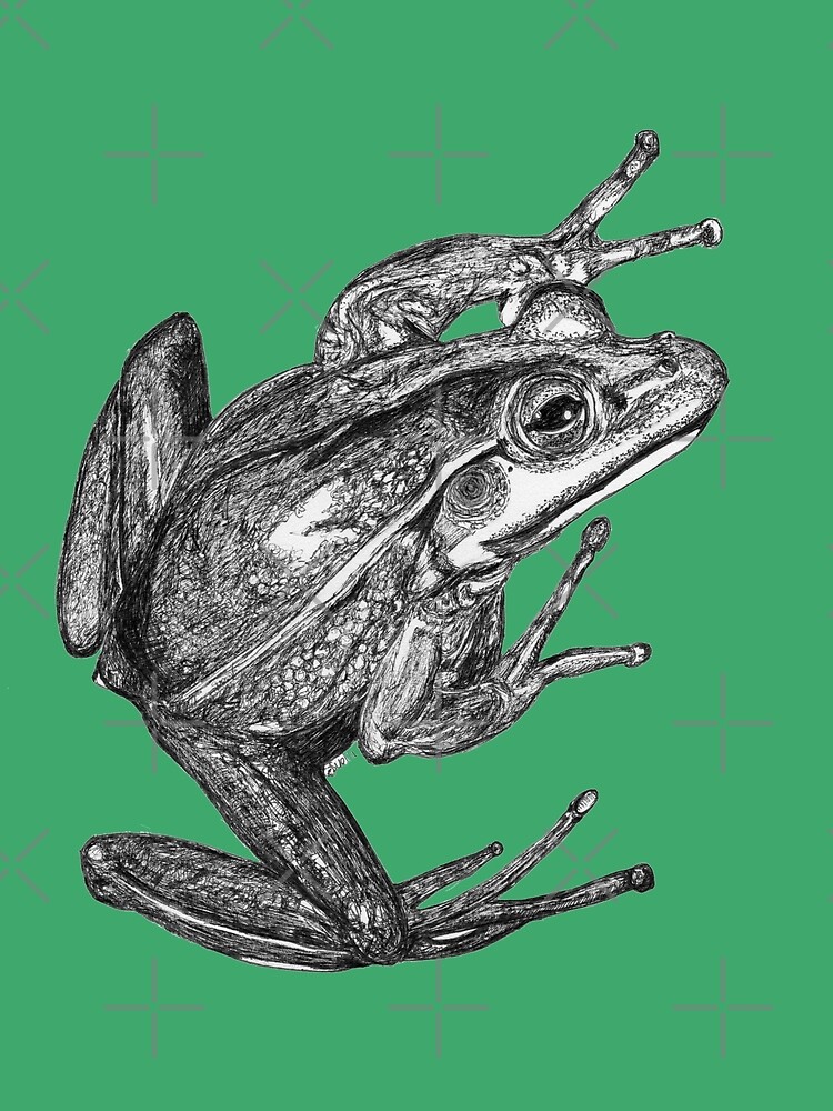 Vonny the Frog by Wildcard-Sue