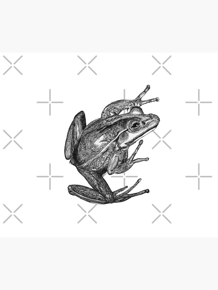 Vonny the Frog by Wildcard-Sue