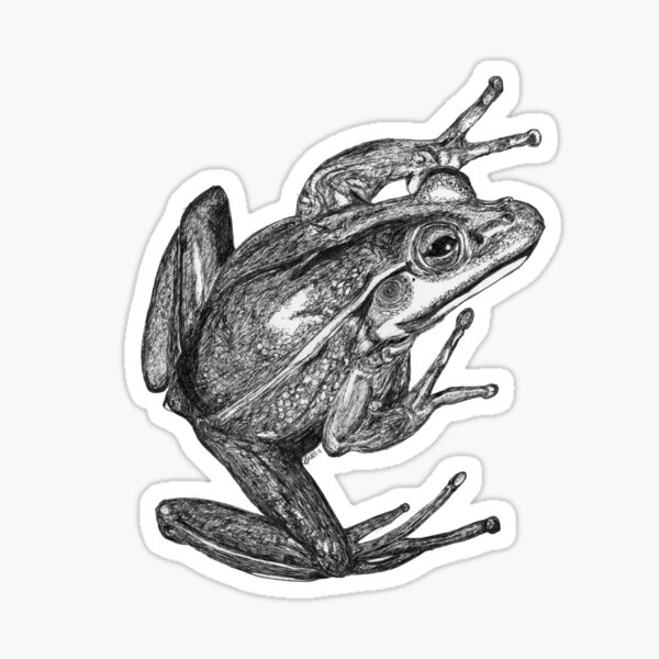 Vonny the Frog Sticker