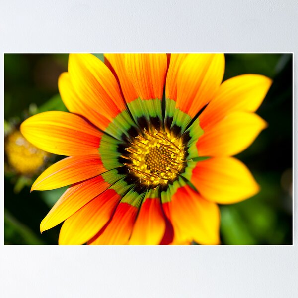 Item preview, Sunburnt designed and sold by Sheaney.