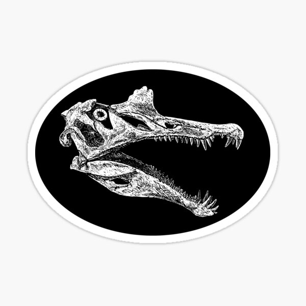 Spinosaurus Skull (no background) Sticker