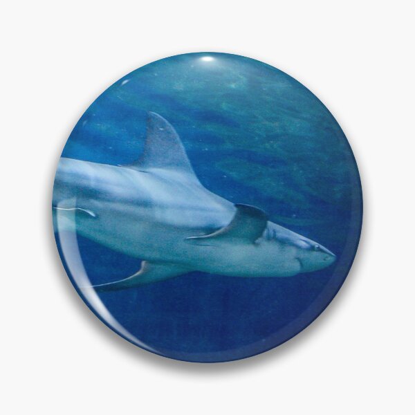 Item preview, Shark Tank designed and sold by Shilohlin Pfeiffer.