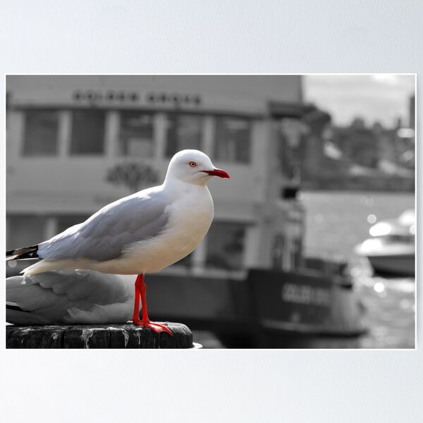 Waiting for the ferry Poster