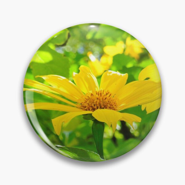 Item preview, Oahu Sunshine designed and sold by Robert Meyers-Lussier.