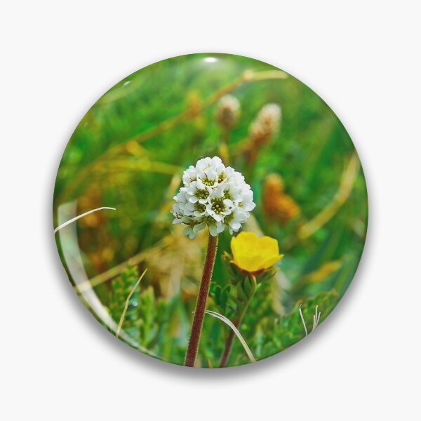 Item preview, Summit Lake White Globe designed and sold by Robert Meyers-Lussier.