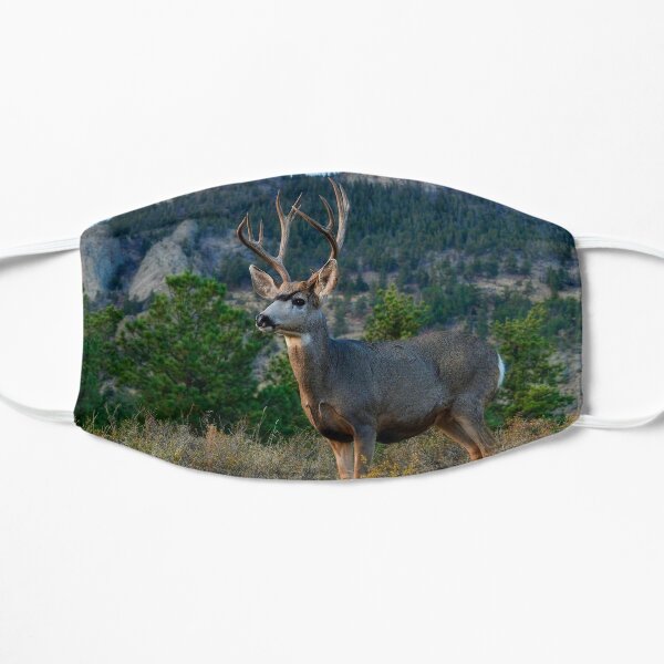 Mule Deer Buck Flat Mask