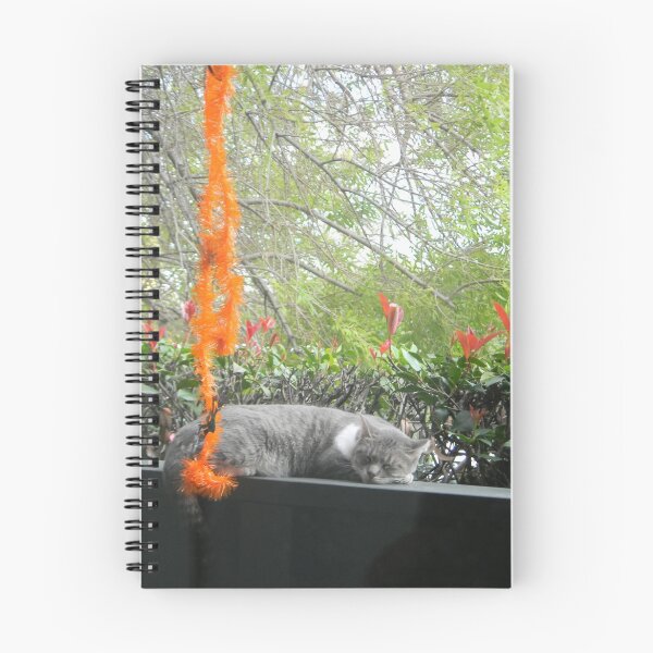 Item preview, Disappointment designed and sold by Navigator.