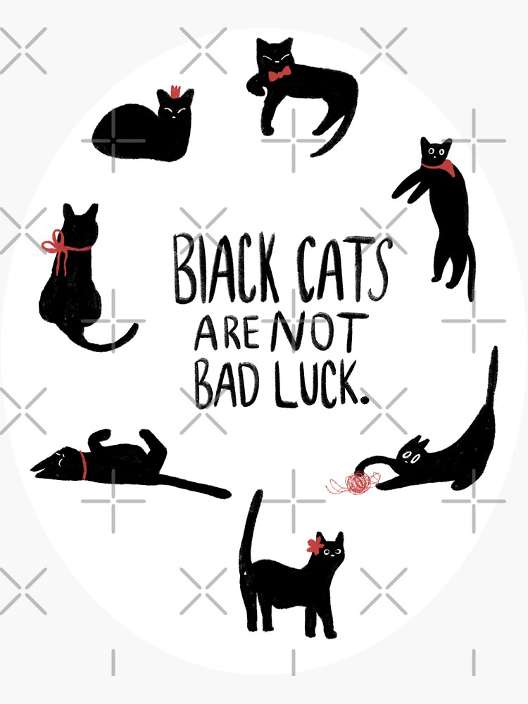 "Black cats are not bad luck" Sticker for Sale by laurelstreed Redbubble