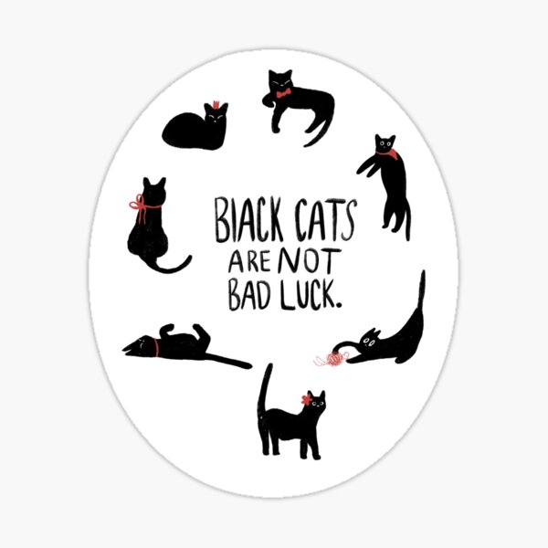 "Black cats are not bad luck" Sticker for Sale by laurelstreed Redbubble