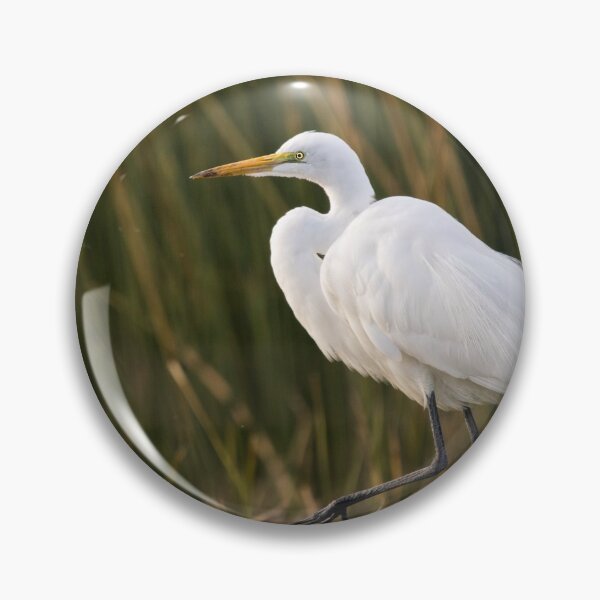 Item preview, Great White Egret designed and sold by CarolM.
