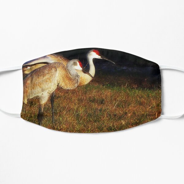 Sandhill Cranes Flat Mask