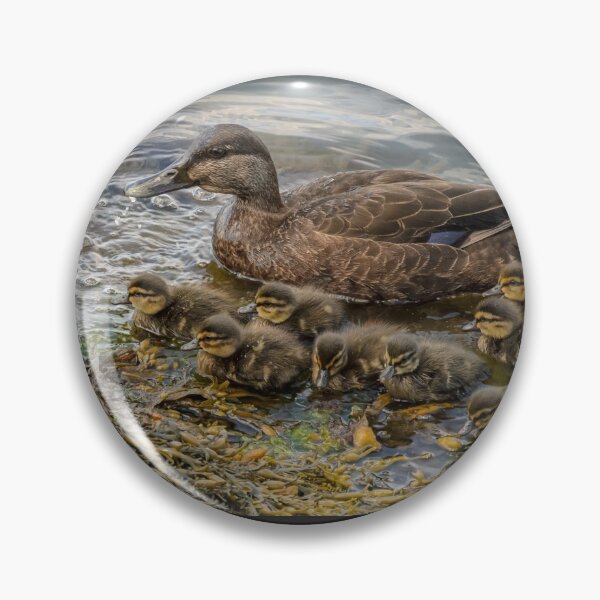 Artikelvorschau, Mother duck & ducklings entworfen und verkauft von LudaNayvelt.