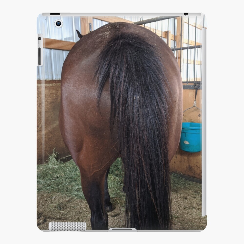 本革バック「」A back of a horse's butt skin