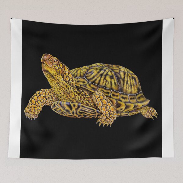 Item preview, Eastern Box Turtle designed and sold by TimJeffsArt.