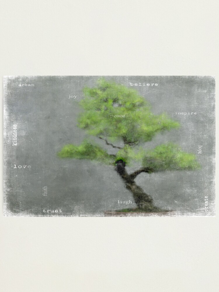 Alternate view of Wisdom Photographic Print