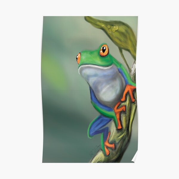 Froggy boy Poster