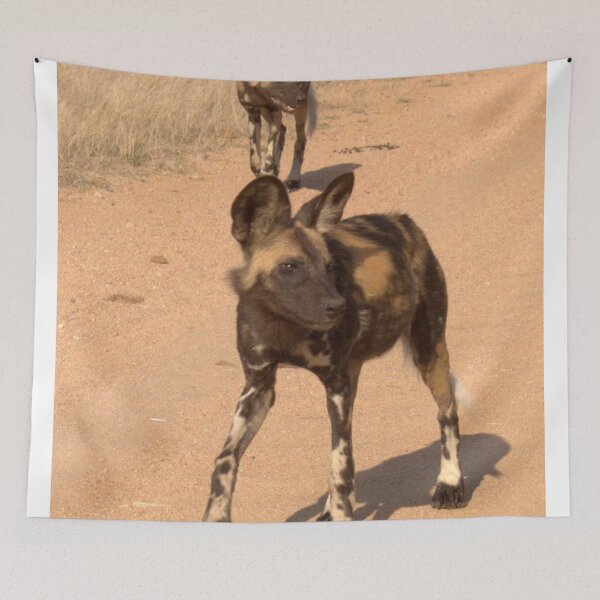Item preview, A RARE SIGHT - Lycaon pictus – WILD DOG – [ ENDANGERED SPECIES] designed and sold by Magriet Meintjes.
