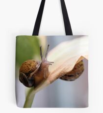Snail hide and seek Tote Bag