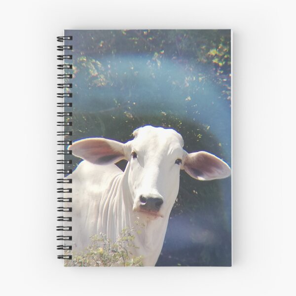 Item preview, Brahman cow designed and sold by Santicos81.