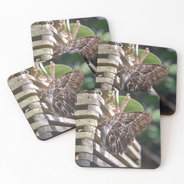 Item preview, Winged Wood designed and sold by Robert Meyers-Lussier.