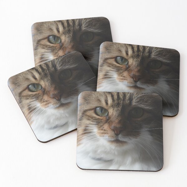 Item preview, Meow Meow designed and sold by jstxrm.
