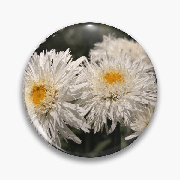 Item preview, Ragged designed and sold by coffeebean.