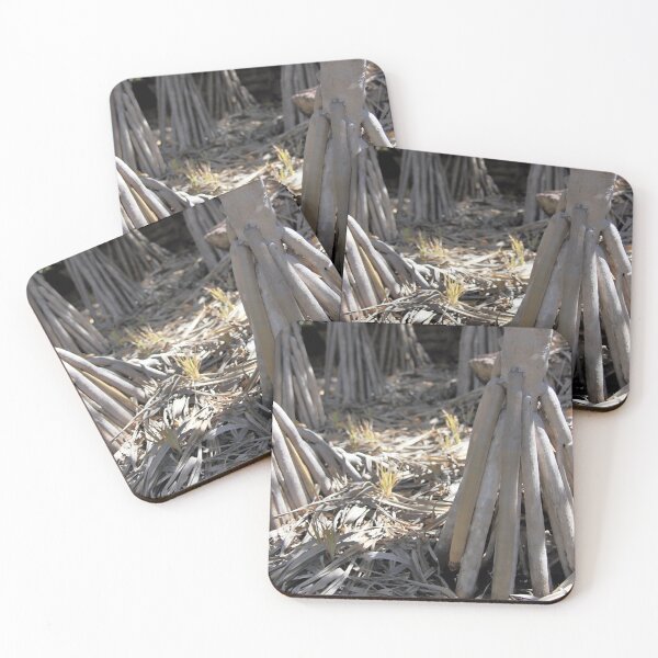 Item preview, Rock Pandanus, Arnhem Land designed and sold by Carole-Anne.